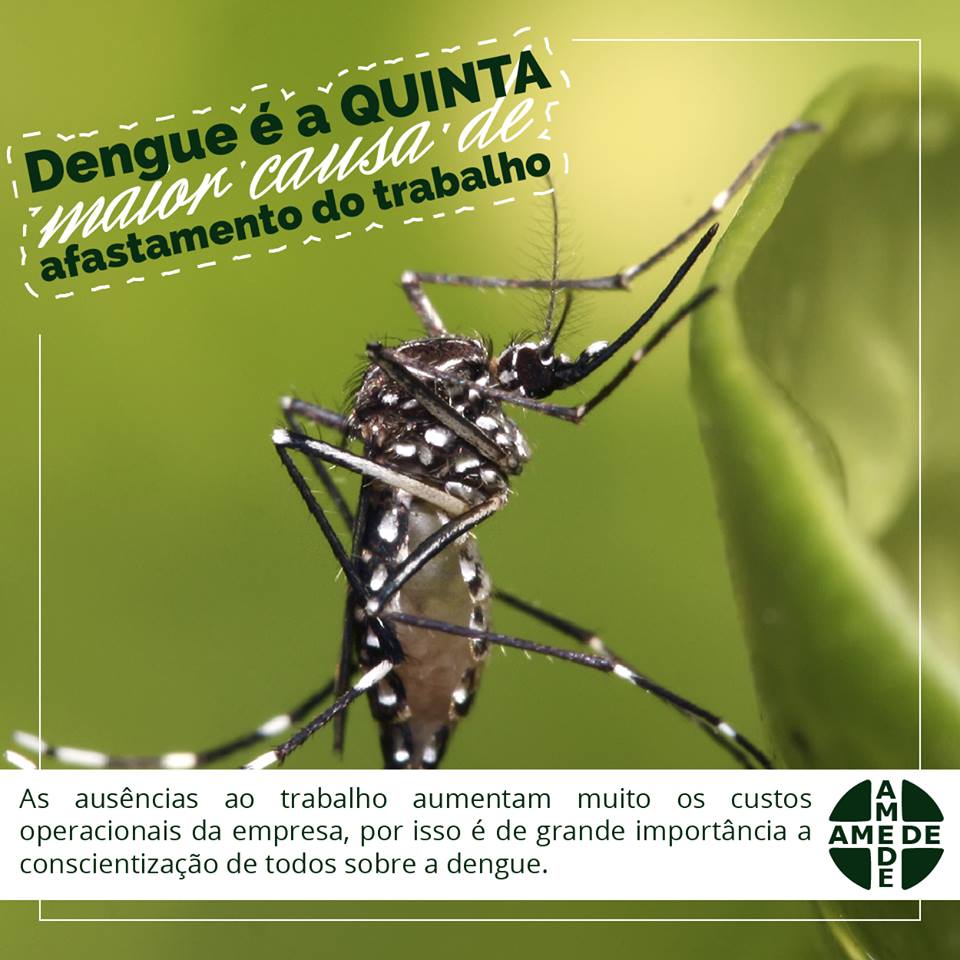 Imagem Publicação